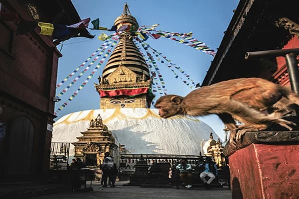 Kathmandu Sites to See
