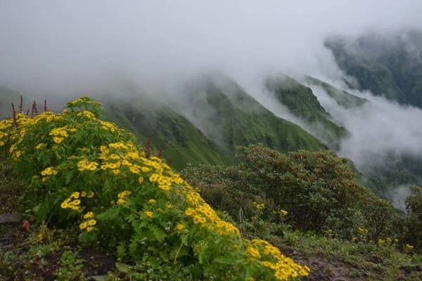 Monsoon in Nepal: A Unique Travel & Trekking Experience