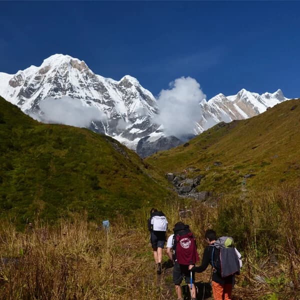 The view of South Annapurna (7219 m)