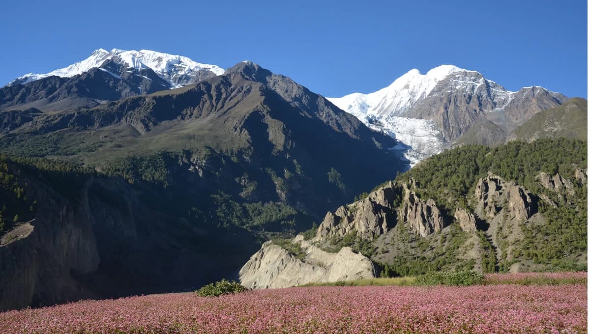 Annapurna III and Gangapurna Peak