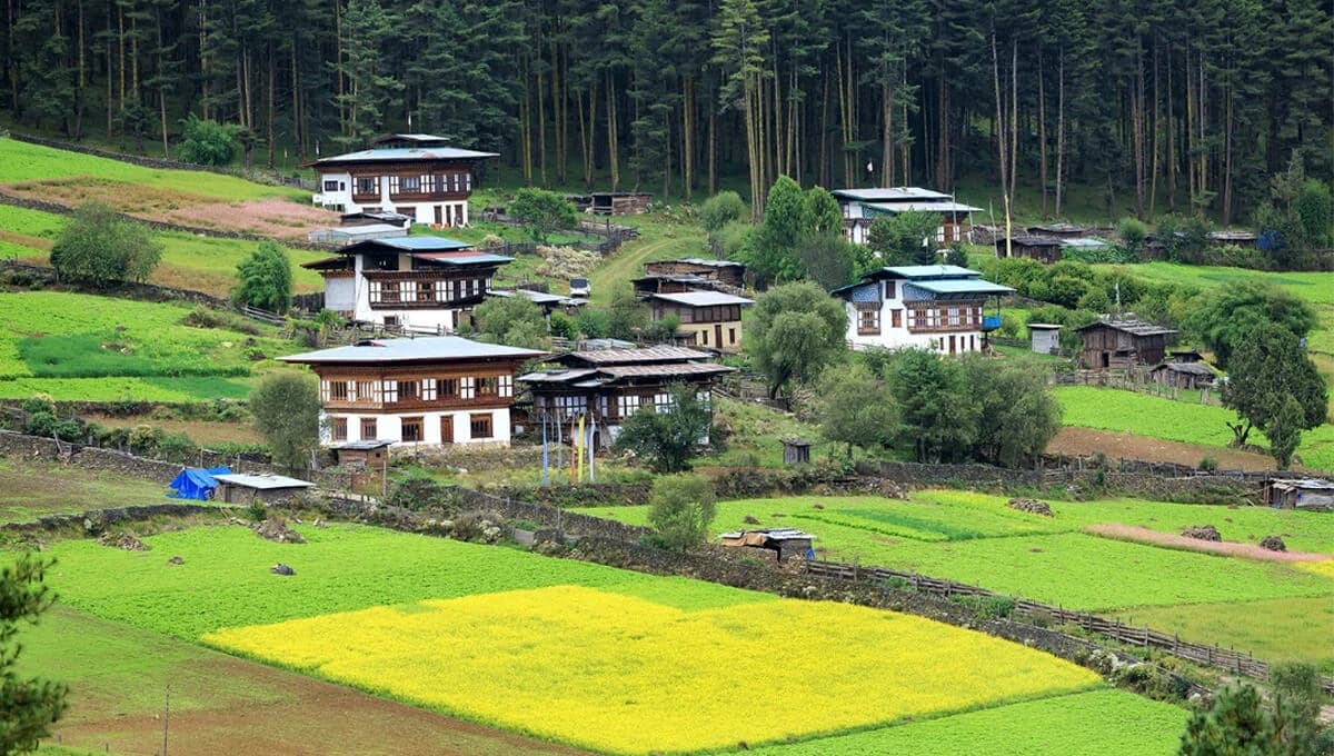 Bhutan, Thimpu