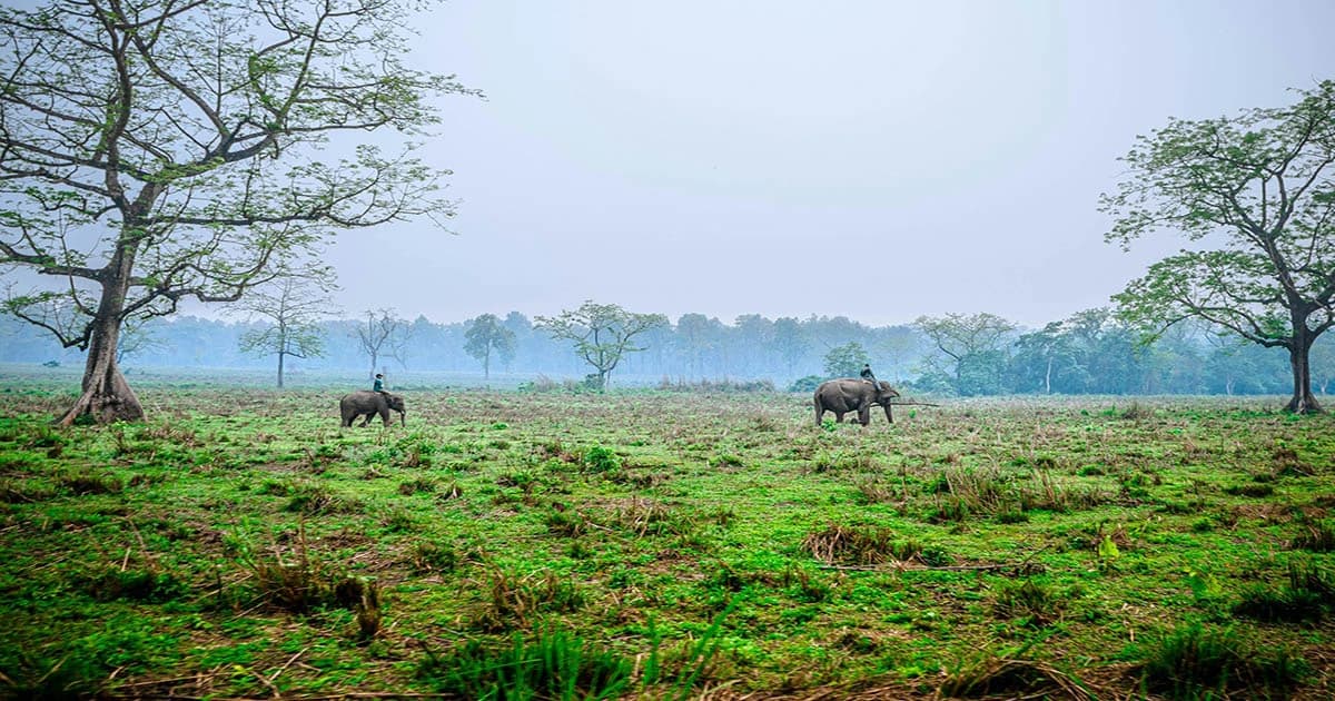 Royal Chitwan National Park Tours