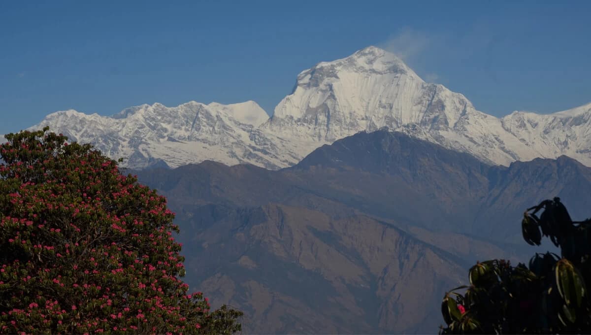 Mt. Dhaulagiri