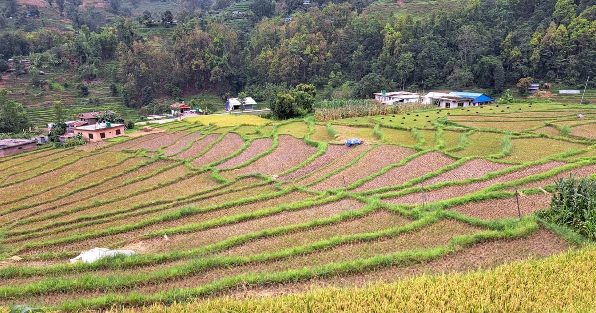 Home Stay in Country Side, Nepal