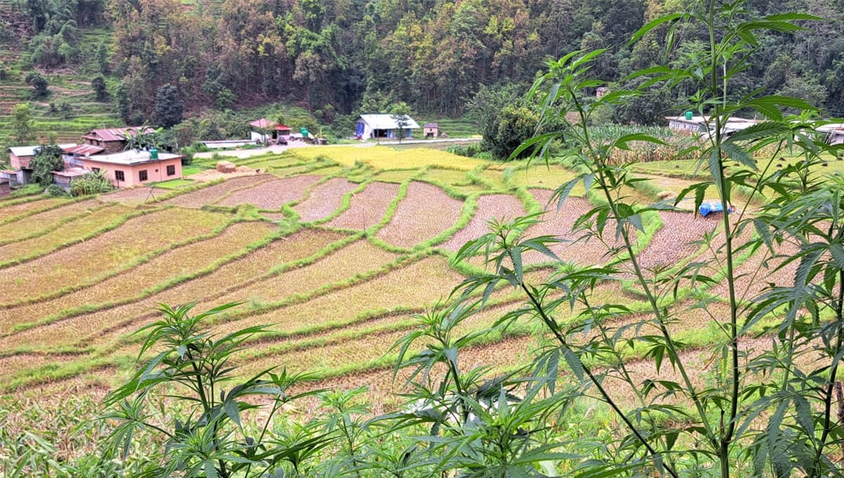 Villages seen during off-road motorbike drive