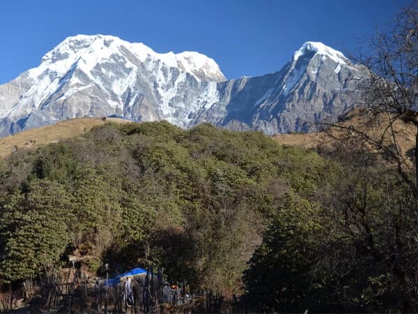 Annapurna South (7219 m) and Himchuli (6441 m)