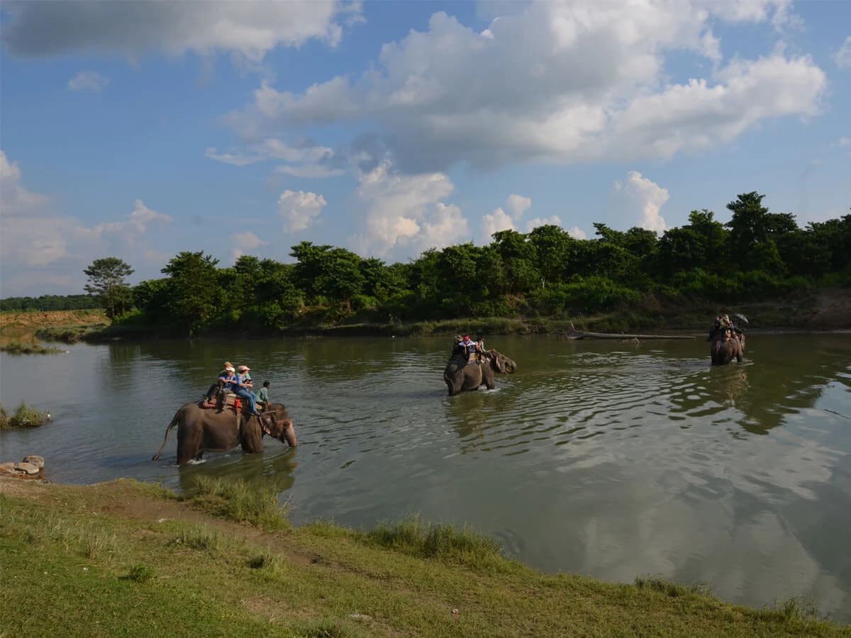 Elephant Safari Chitwan