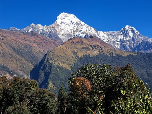 Annapurna Base Camp Trek Tadapani